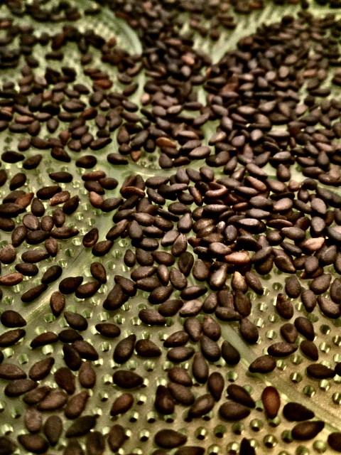 Sezam detail